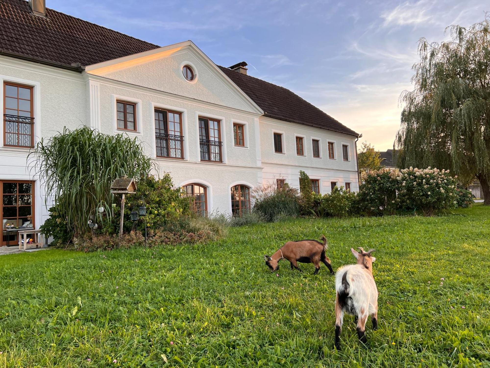 Landhaus Aigner Allhartsberg Eksteriør bilde